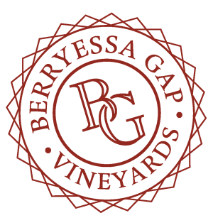 Berryessa Gap Vineyards