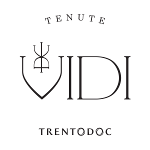 Tenute Vidi 